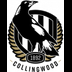 Collingwood Magpies