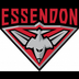 Essendon Bombers