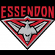 Essendon Bombers